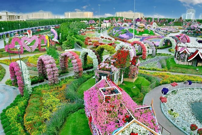 Miracle Garden Ticket Dubai with Shared Transfers - Entering Miracle Garden and getting your bearings
