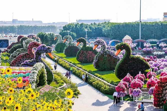 Miracle Garden Ticket Dubai with Shared Transfers - Is 90 minutes enough?