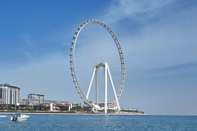 Modern Dubai City Tour: Palm Monorail, Marina, Ain Dubai & More! - Dubai Mall and the Burj Khalifa option