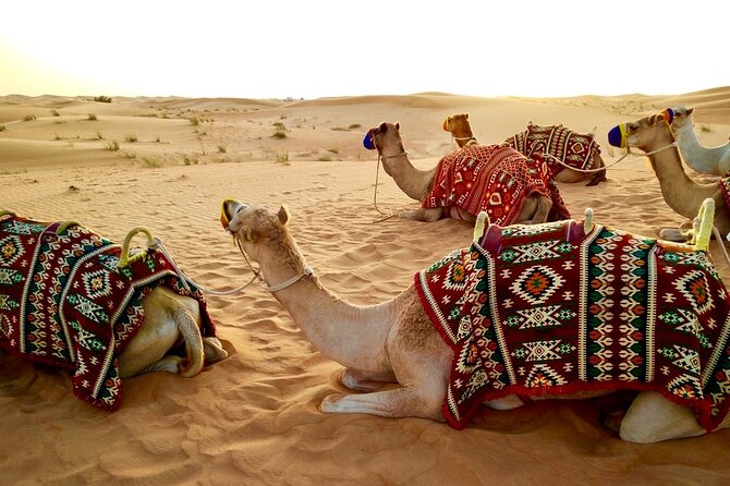 Morning Desert Safari Dubai Private Tour - Dune bashing brings the speed