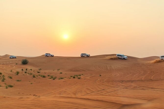 Morning Desert Safari Dubai Private Tour - The camel ride is brief but meaningful