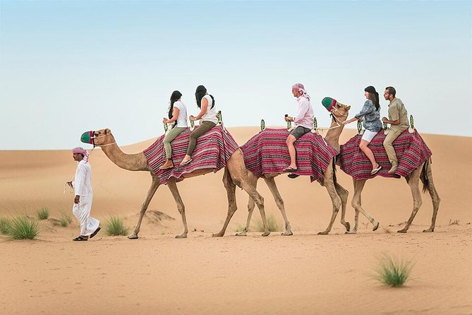 Morning Desert Safari Dubai with Dune Bashing and Sand Boarding - Quick take: what makes this morning safari useful
