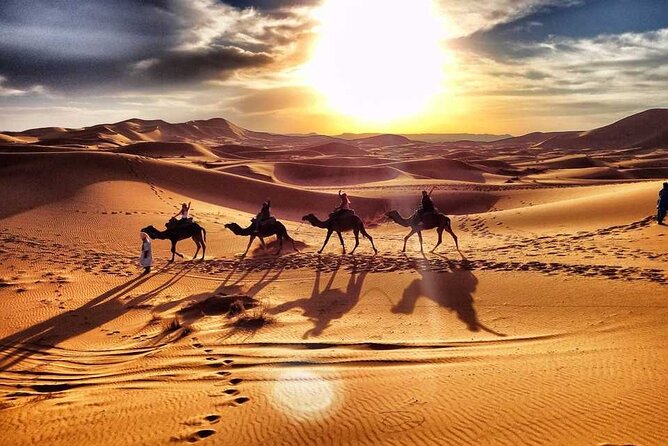 Morning Desert Safari Dubai with Dune Bashing and Sand Boarding - From your door to the Lahbab dunes
