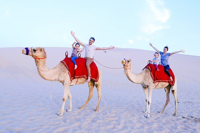 Morning Desert Safari From Abu Dhabi - A useful desert trip for a tight Abu Dhabi schedule