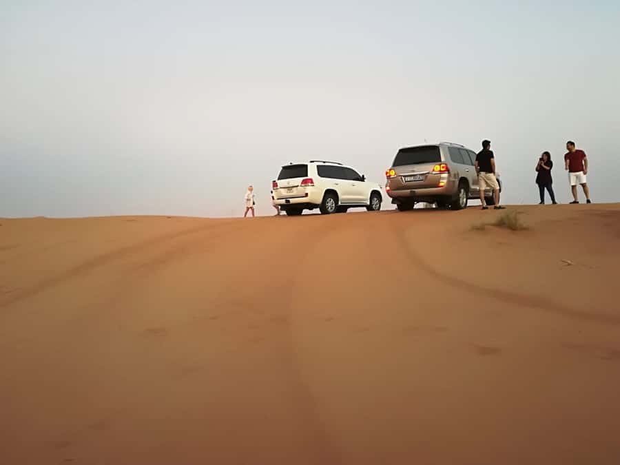 Morning Desert Safari in Ras Al Khaimah - A close look at the camel farm