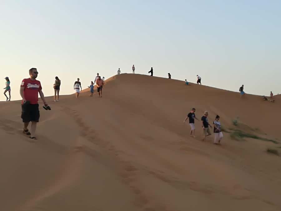 Morning Desert Safari in Ras Al Khaimah - What the Toyota 4WD ride feels like