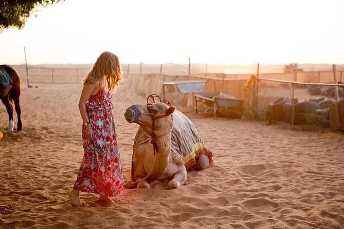 Morning Desert Safari With 20-Minutes Camel Ride - Key points to know before booking