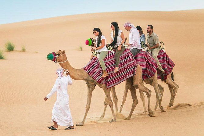 Morning Desert Safari With 20-Minutes Camel Ride - What the 35-minute dune-bashing session feels like