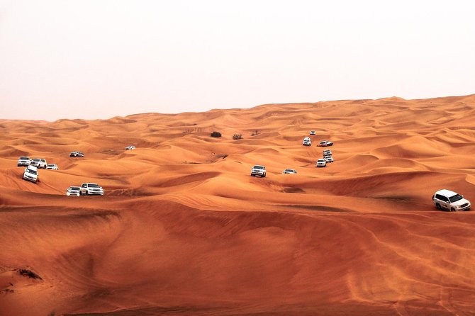 Morning Desert Safari With 20-Minutes Camel Ride - Is $45 a fair price?