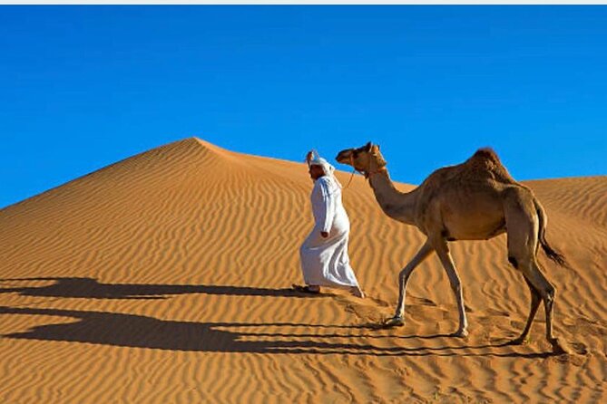 Morning Desert Safari with Camel Ride and Quad Bike - Water, Soft Drinks, and the $55 Value