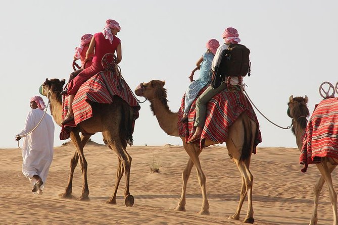 Morning Desert Safari with Camel Ride and Sand boarding - The complimentary camel ride