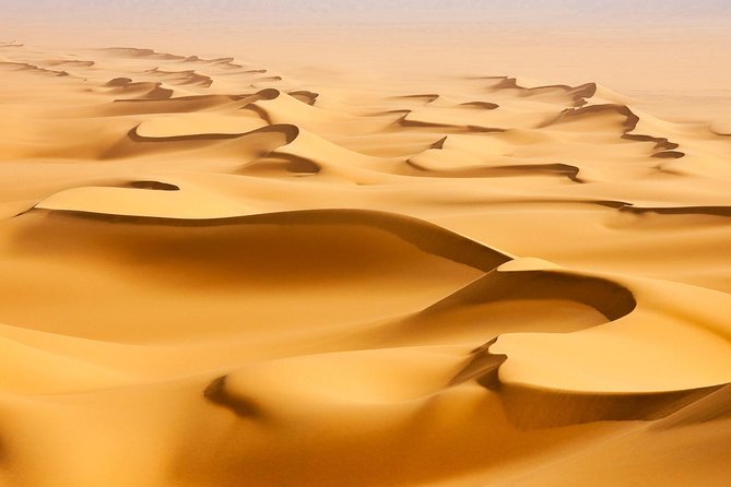 Morning Desert Safari with Camel Ride and Sandboarding - Why This Early Safari Works So Well