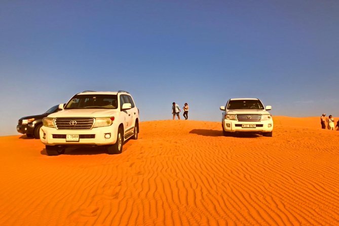 Morning Desert Safari with Camel Ride & Sand Boarding - At a glance: what matters most