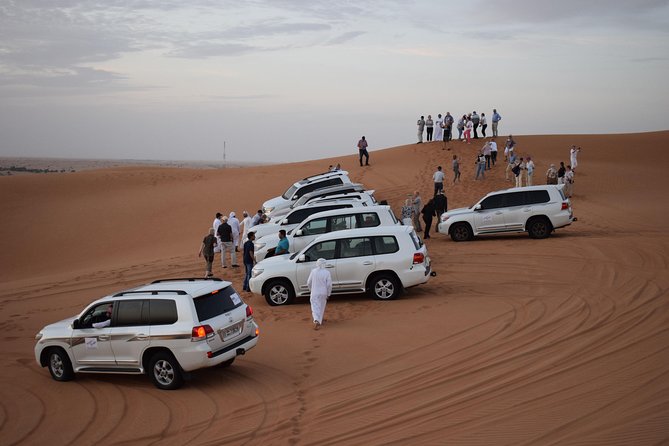 Morning Desert Safari with Camel Ride & Sand Boarding - Who will enjoy this outing most