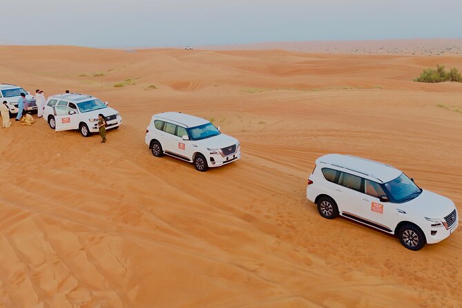 Morning Desert Safari with Dune Bashing & Camel Ride - Sandboarding Lets You Try the Dunes Yourself