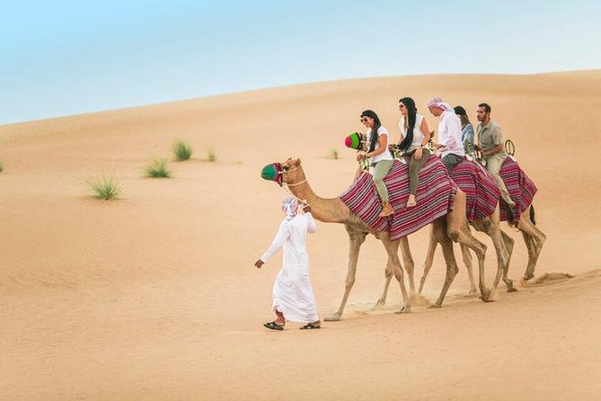 Morning Desert Safari with Quad Bike, Sand Boarding and Camel Ride - Thirty to forty minutes of dune bashing