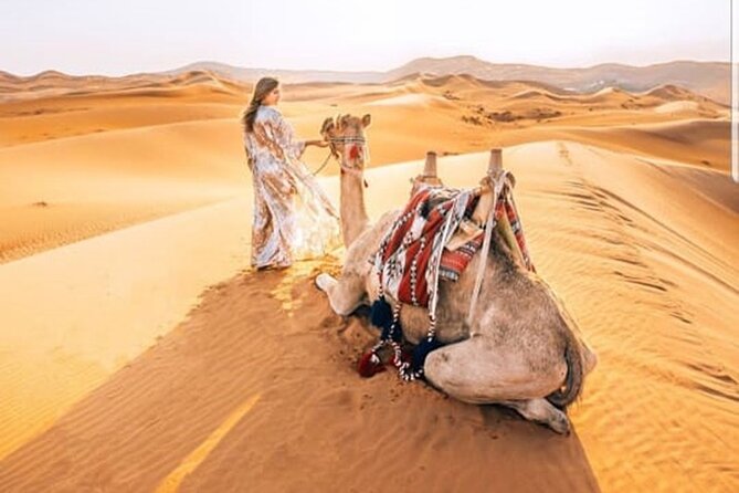 Morning Desert Safari With Quad Biking and Sandboarding - Sunrise over the dunes