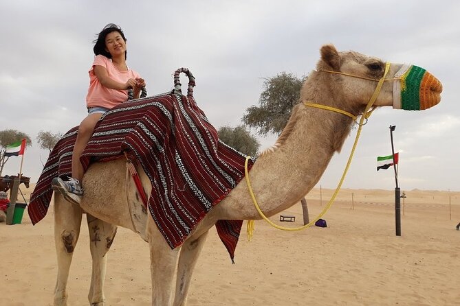 Morning Dubai desert safari - camel rides, quad bikes, dune buggies,dune bashing - Dune bashing: the reason to choose this tour