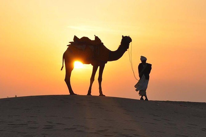 Morning Dune Bashing, Including Camel Riding and Sand Boarding from Dubai - Key points to know before you book