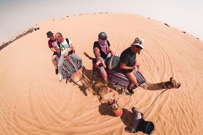 Morning Dune Bashing, Including Camel Riding and Sand Boarding from Dubai - Camel riding: a brief traditional touch