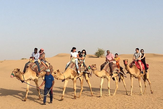 Morning Dune Bashing, Including Camel Riding and Sand Boarding from Dubai - Sand boarding for a simple, sandy challenge
