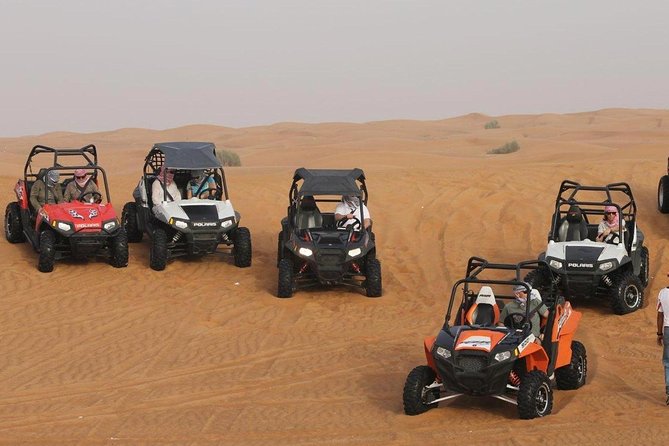 Morning Dune Buggy 1000cc Polarize open Desert - Photo stops, water, and a slower change of pace