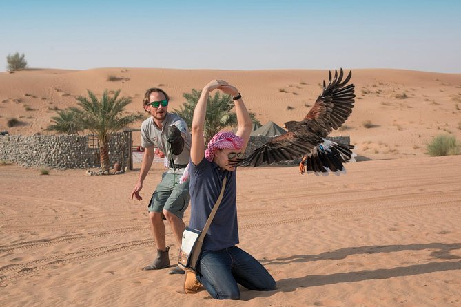 Morning Falconry & Nature Desert Safari with Transfers from Dubai - The falconry display and hands-on session