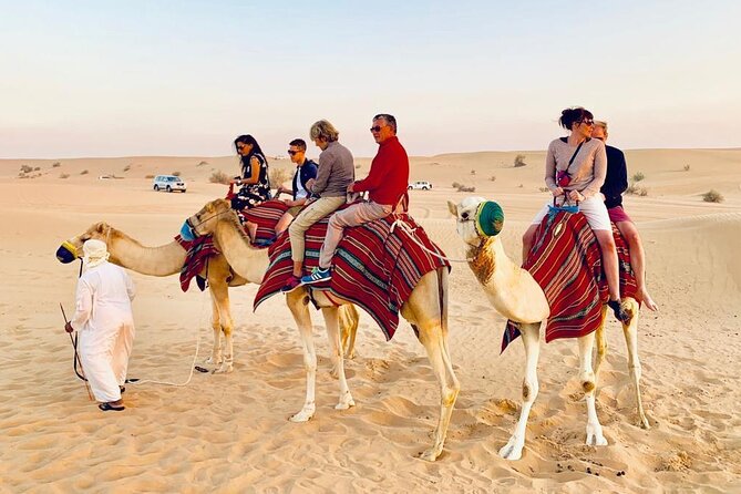 Morning Red Dunes Safari: Camel Ride & Sandboarding Adventure - The Camel Ride: A Short Taste of Tradition