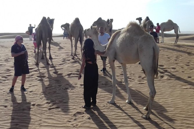 Morning Safari by 4x4 from Dubai with Sand Boarding - Group size, comfort, and what is included