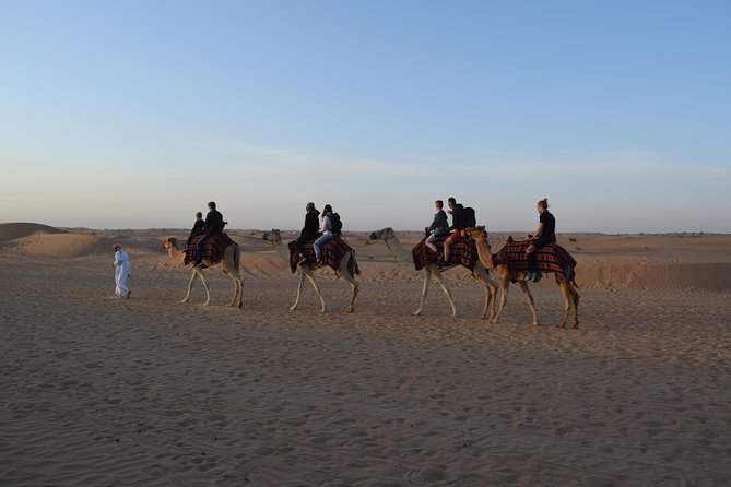 Morning Safari by 4x4 from Dubai with Sand Boarding - Is $35 a good price?