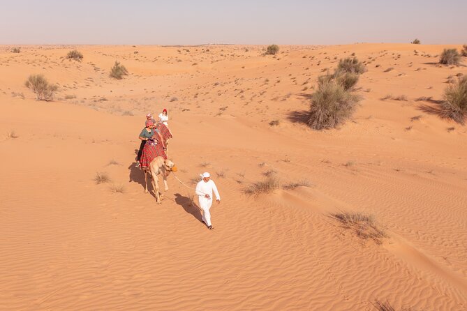 Morning Safari with Camel Ride and Quad Bike Single Seater - Red-dune bashing brings the speed