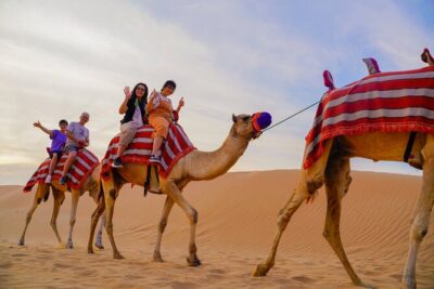 Overnight Desert Experience with safari and BBQ Dinner