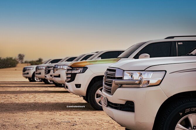 Overnight Desert Safari with BBQ Dinner & Breakfast Abu Dhabi - Camels, photographs, and sunset in the dunes