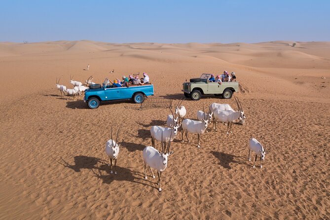 Overnight Safari and Sunrise Hot-Air Balloon Ride - Arabic Coffee, Breadmaking, and a Four-Course Dinner