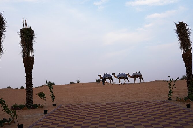 Premium Deluxe Dubai Safari with Camel Ride, Sandboard & BBQ - What $65 gets you