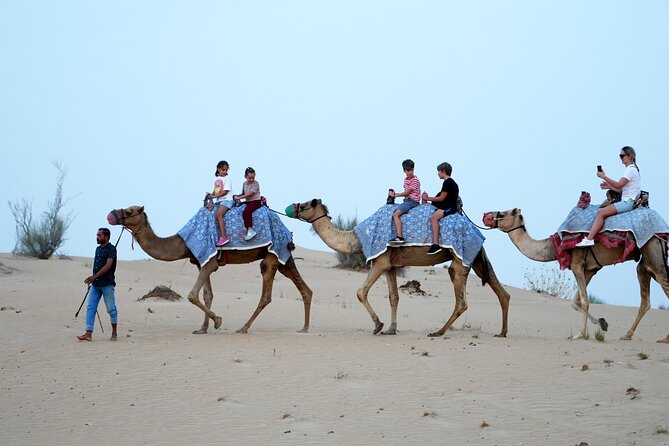 Premium Deluxe Dubai Safari with Camel Ride, Sandboard & BBQ - Who will enjoy this safari most