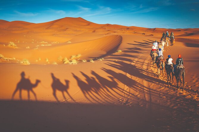 Premium Desert Safari with BBQ Dinner - Dubai - Why this safari works well for a first Dubai visit