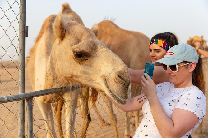 Premium Dubai Desert Safari with BBQ Dinner in the Red Dunes - Sandboarding on the dunes
