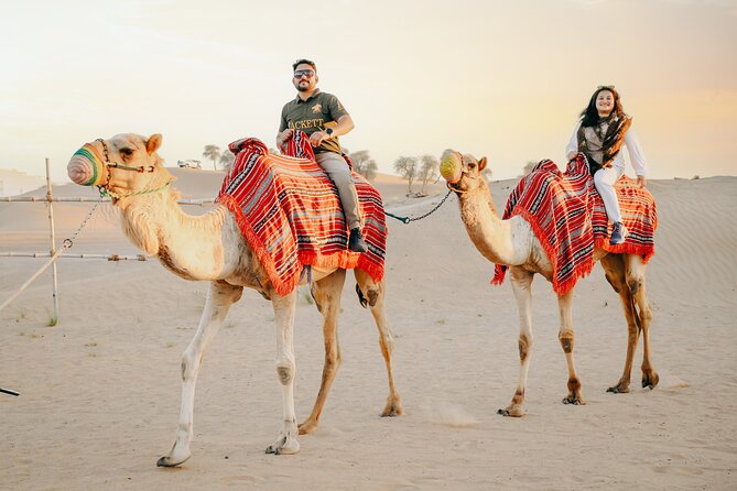 Premium Dubai Desert Safari with Dune Bashing, BBQ, Live Shows - A Short Camel Ride and Arabic Camp Welcome