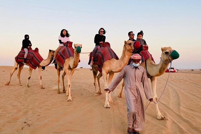 Premium Dubai Red Dunes with quadbike, camel ride and VIP Dinner - Camel riding and the Bedouin-style camp