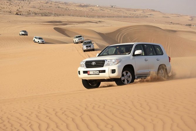 Premium Morning Desert Safari in 4x4 Private Vehicle Up To 6 Pax - What the guide can add to the morning