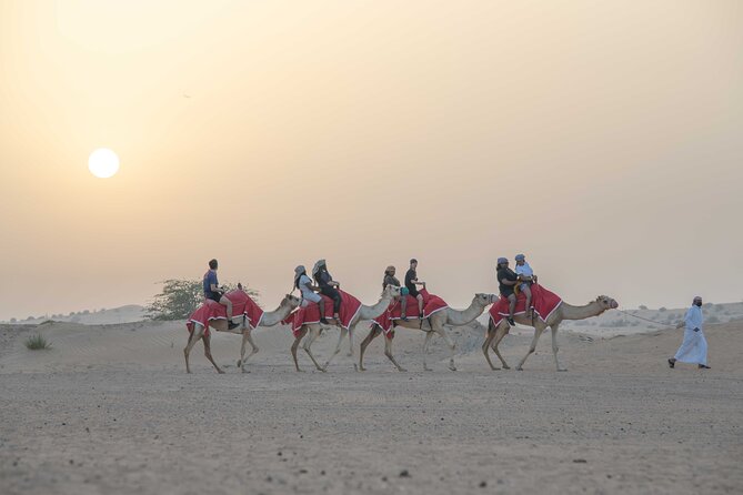 Premium Red Dunes Bashing with Quad Bike, Camel, Falcon &VIP Camp - Dune bashing for 45 minutes