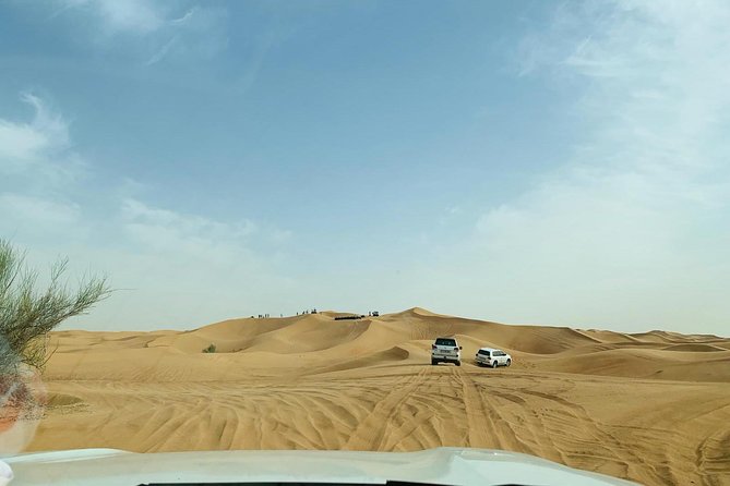 Premium Red Dunes Safari and Camel Safari with BBQ Dinner - A short camel ride, not a desert trek