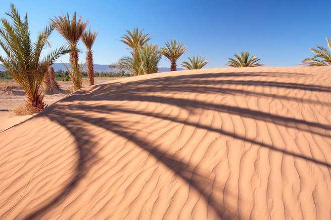 Premium Red Dunes Safari and Camel Safari with BBQ Dinner - Forty-five minutes of 4x4 dune bashing