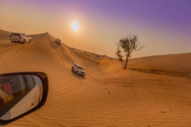 Premium Sundowner Red Dunes & Camel Safari with BBQ Dinner - Red-dune dune bashing: exciting, rough, and not for everyone