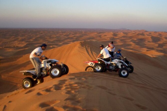 Private 4Hour Desert Adventure: Dune Bashing, Camel Ride & Photos - Falcon photographs and desert pictures