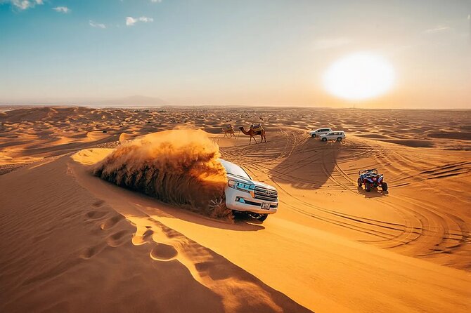 Private 4Hours Red Dunes Safari Camel Ride ,Falcon & Dune Thrills - Why this private Dubai desert tour works well