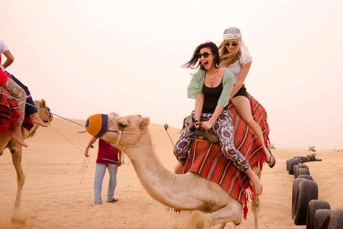 Private 4Hours Red Dunes Safari Camel Ride ,Falcon & Dune Thrills - What the $200 group price really means