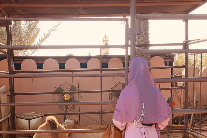 Private - Abu Dhabi Half Day City Tour - Heritage Village brings the old Abu Dhabi into view
