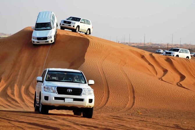 Private Adventure Red Dune Desert Safari With BBQ Dinner & Shows - Key Points Before You Book